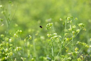 Gravili srl ambiente eco-friendly